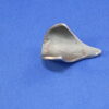 FOREND TIP